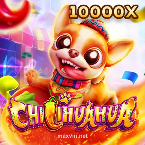 Hình ảnh trò chơi Fachai Chihuahua Portrait tại maxvin